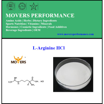 Haute qualité pure vente chaude L-Arginine HCl